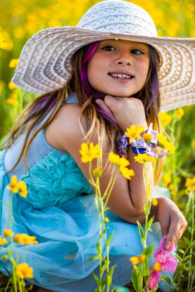 Sunflower Field, Edgewood